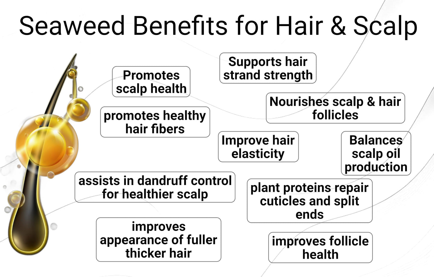 Saltie by 30A Leave-In Conditioner, 8.5 fl. Oz/250ml - Seaweed, Kelp & Algae Enriched Detangle & Shine Hair Treatment -Ideal For Frizzy and All Hair Type , Protects Scalp