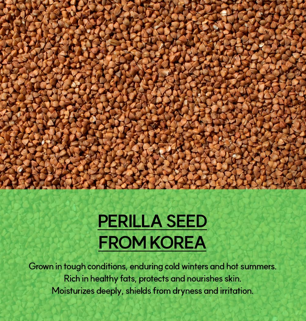 ooah seoul FLAWLESS TODAY Pore Refining Face Mask | Korean Skincare for Oily, Acne-Prone & Textured Skin | Charcoal & Perilla for Pore Tightening | 120ml 4.05fl.oz