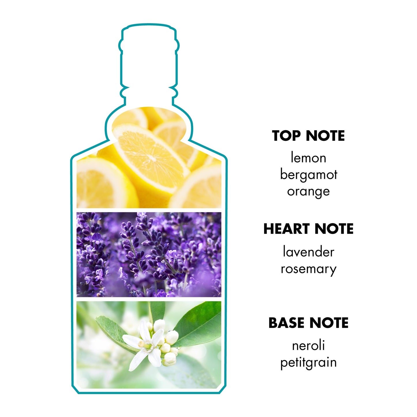 4711 by Muelhens Eau de Cologne Splash 6.8 oz