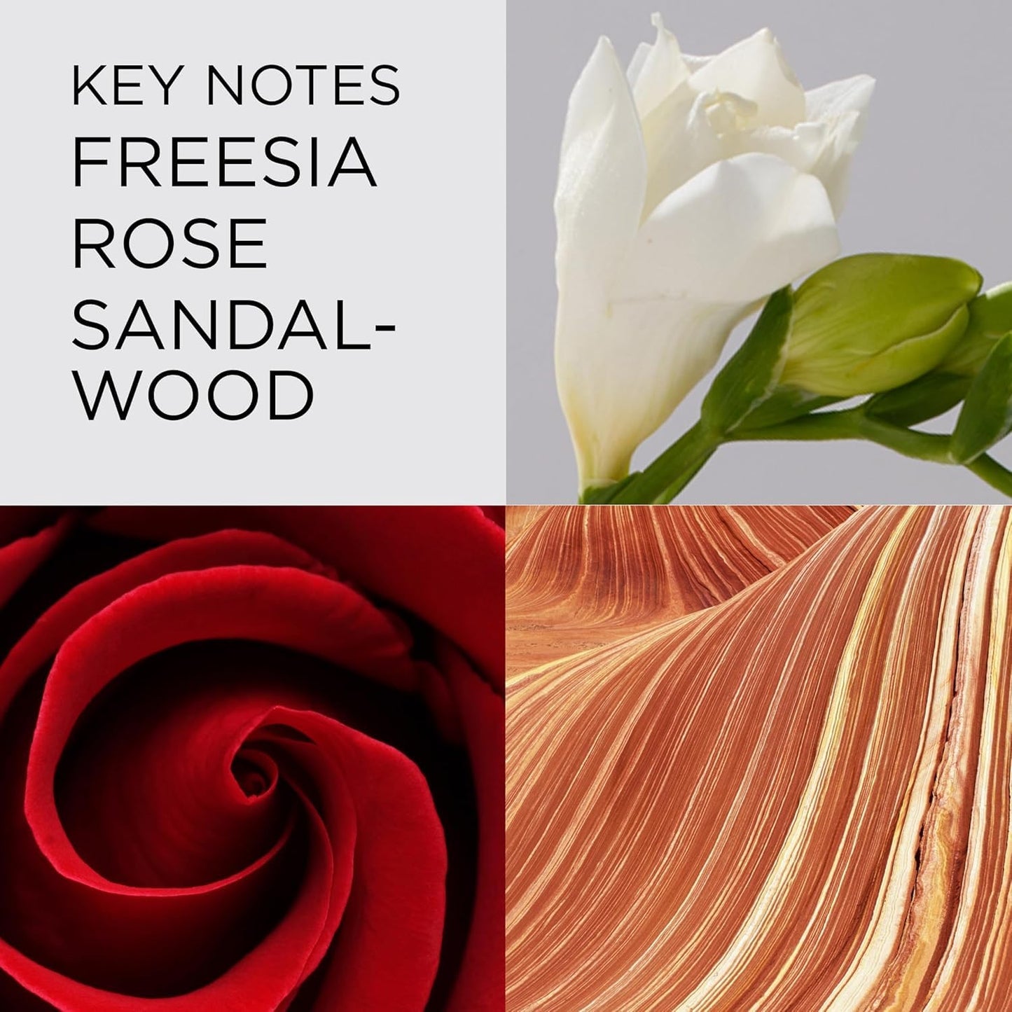 JUMBO BEAUTY Premium Designer Brands Perfumes For Women Red Door Perfume Eau de Toilette Spray for Women 3.3 oz Bundle with Refillable Perfume Atomizer Bottle and Lipstick Balm