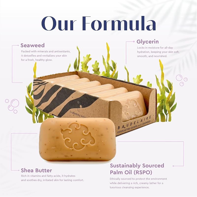 Spice Loofa Soap - Exfoliating Bar with Seaweed & Glycerin, 5 oz (Pack of 6) – Variation: Spice