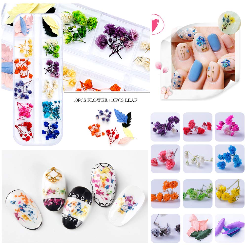 Mini Dried Flowers for Resin Craft & Nail Art - 6 Box Set (260+ Pieces)