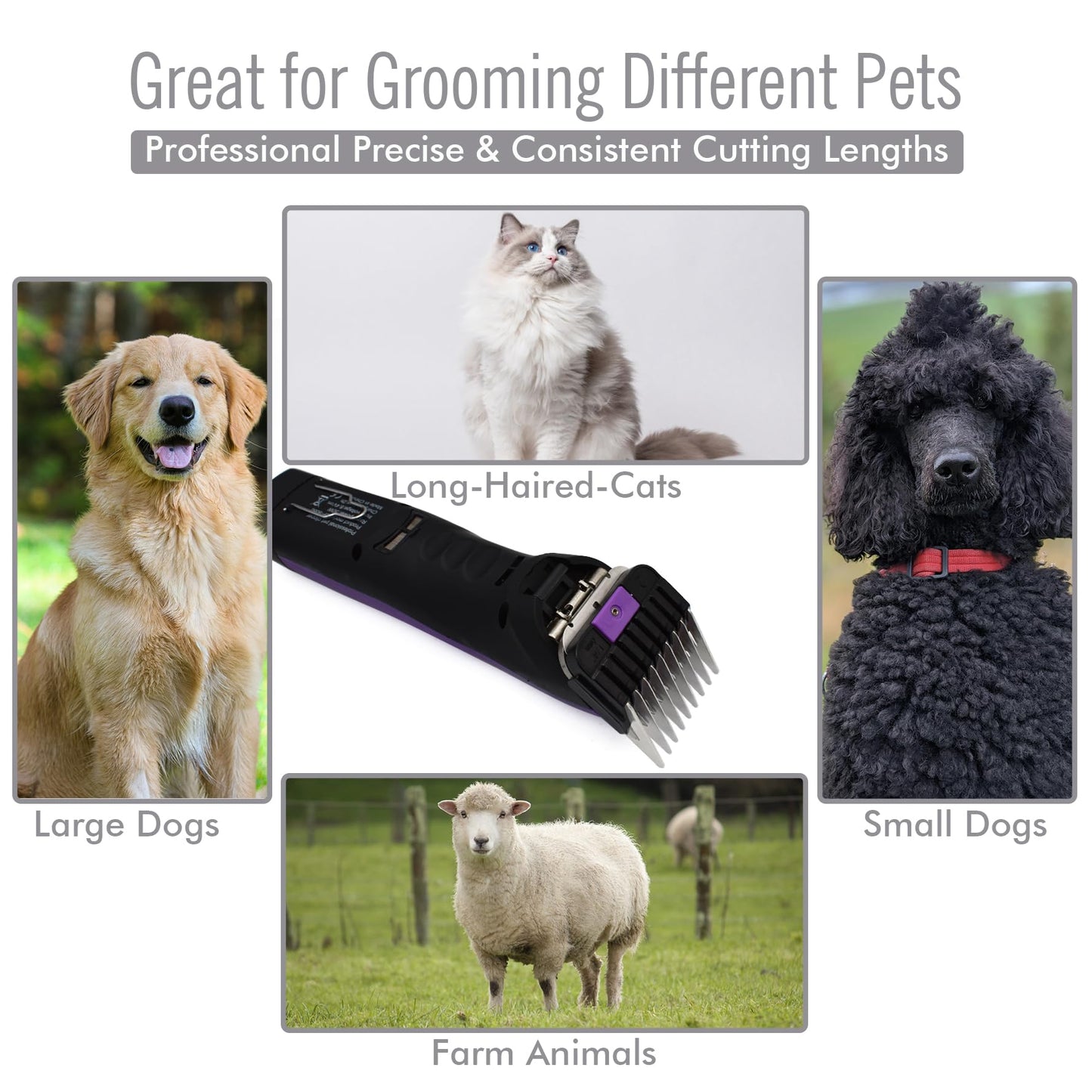 4 Pieces Professional A5 Style Animal Clipper Stainless Steel Color-Coded Attachment Guard Guide Combs Set, 1/8", 1/4", 3/8", 1/2" Compatible with Wahl KM Series Oster A5 Andis AG BG Pet Groomers