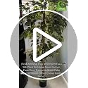2-Pack 4FT Artificial Ficus Trees - Realistic Leaves & Natural Trunk for Indoor & Outdoor Decor