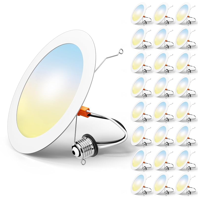 FREELICHT 24-Pack 6 In LED Recessed Lights, 5CCT (2700-6000K) White – Retrofit