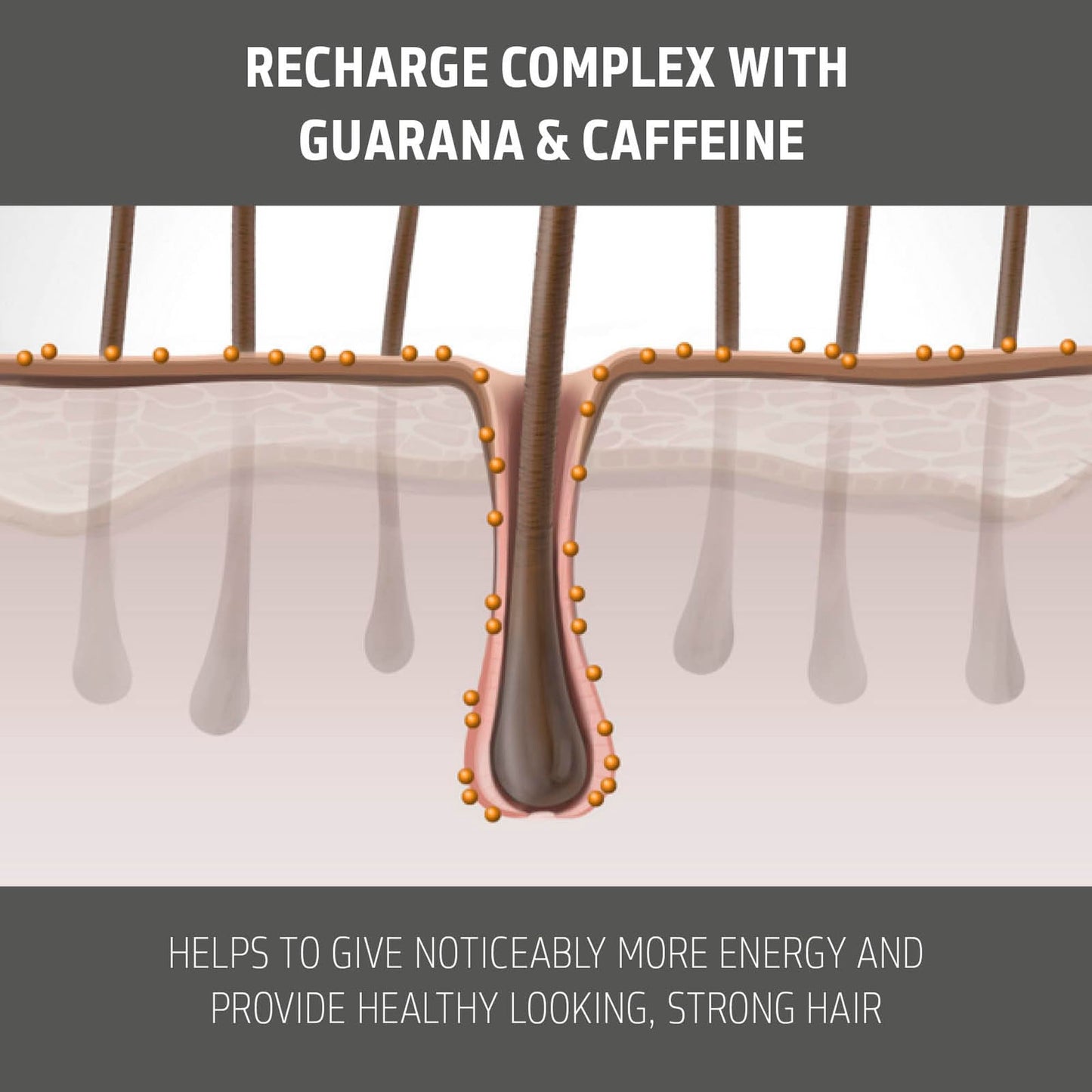 Goldwell Dualsenses Men Tonic Activating Scalp Tonic to Instantly Refresh & Revitalize, 150mL