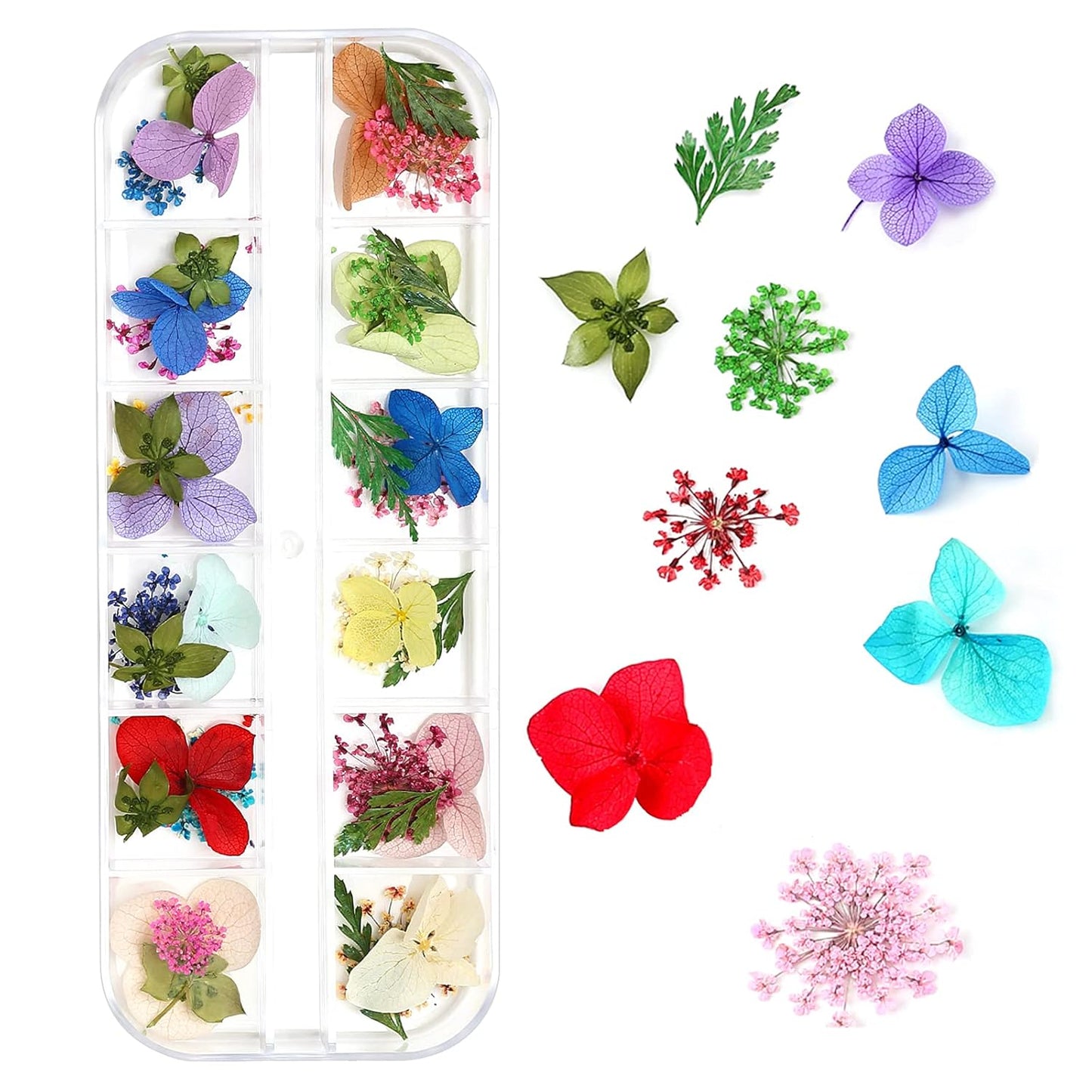 Mini Dried Flowers for Resin Craft & Nail Art - 6 Box Set (260+ Pieces)