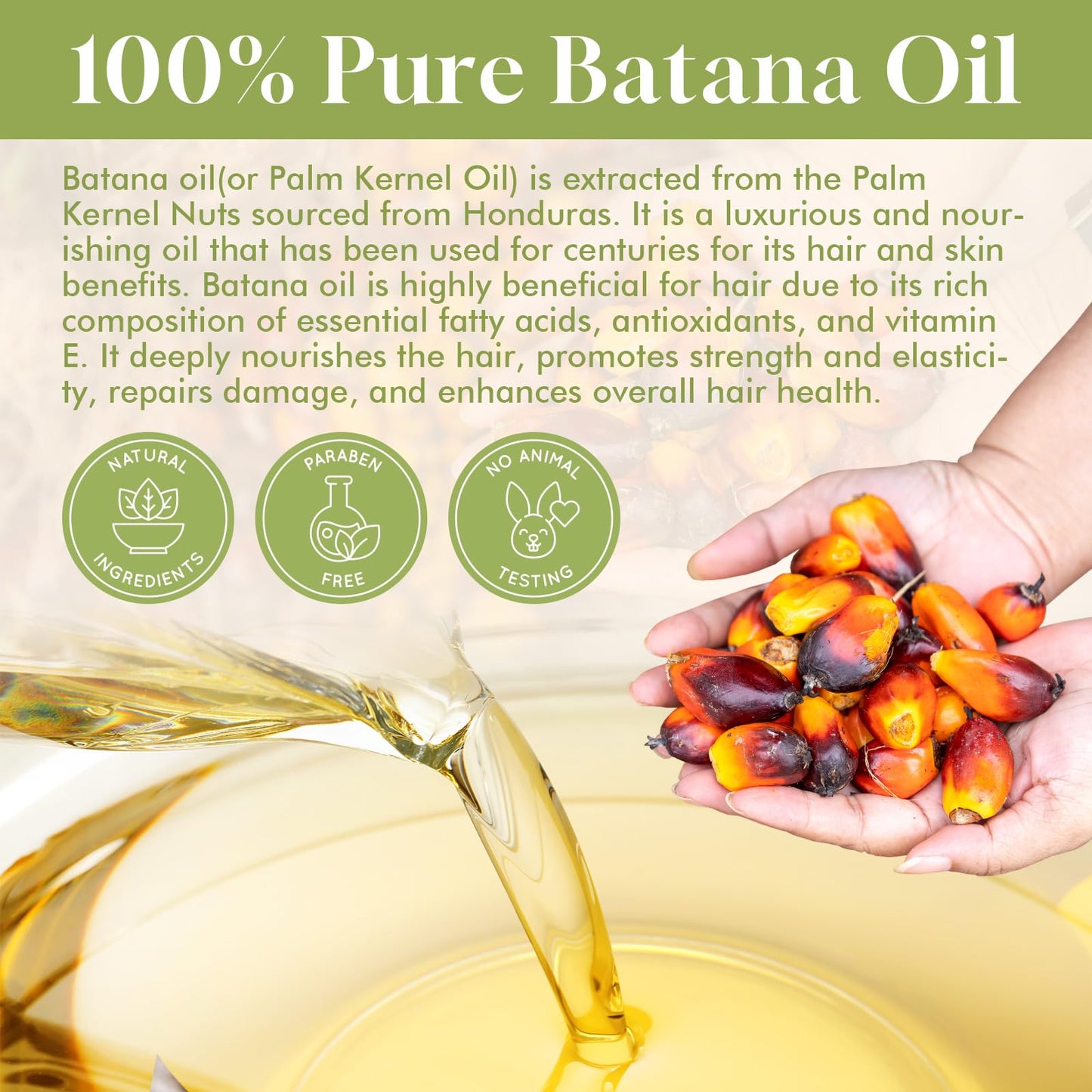 Batana Oil for Hair Growth Organics Pure Batana Hair Oil 100% Natural Batana Oil Nourishes Damaged Hair Natural Hair Growth Oil and Conditioner Batana Hair Oil 2.02 Fl Oz