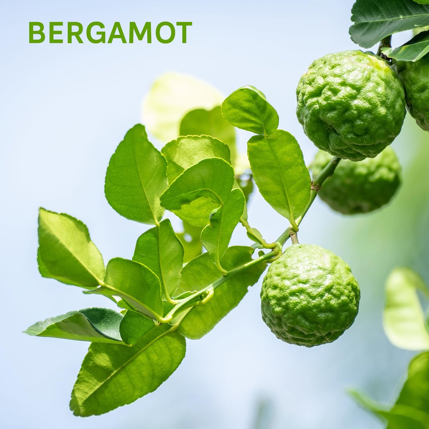 Zermat For Men, Intrepid Experience Fragrance Body Spray, 8.45 Fl. Oz.