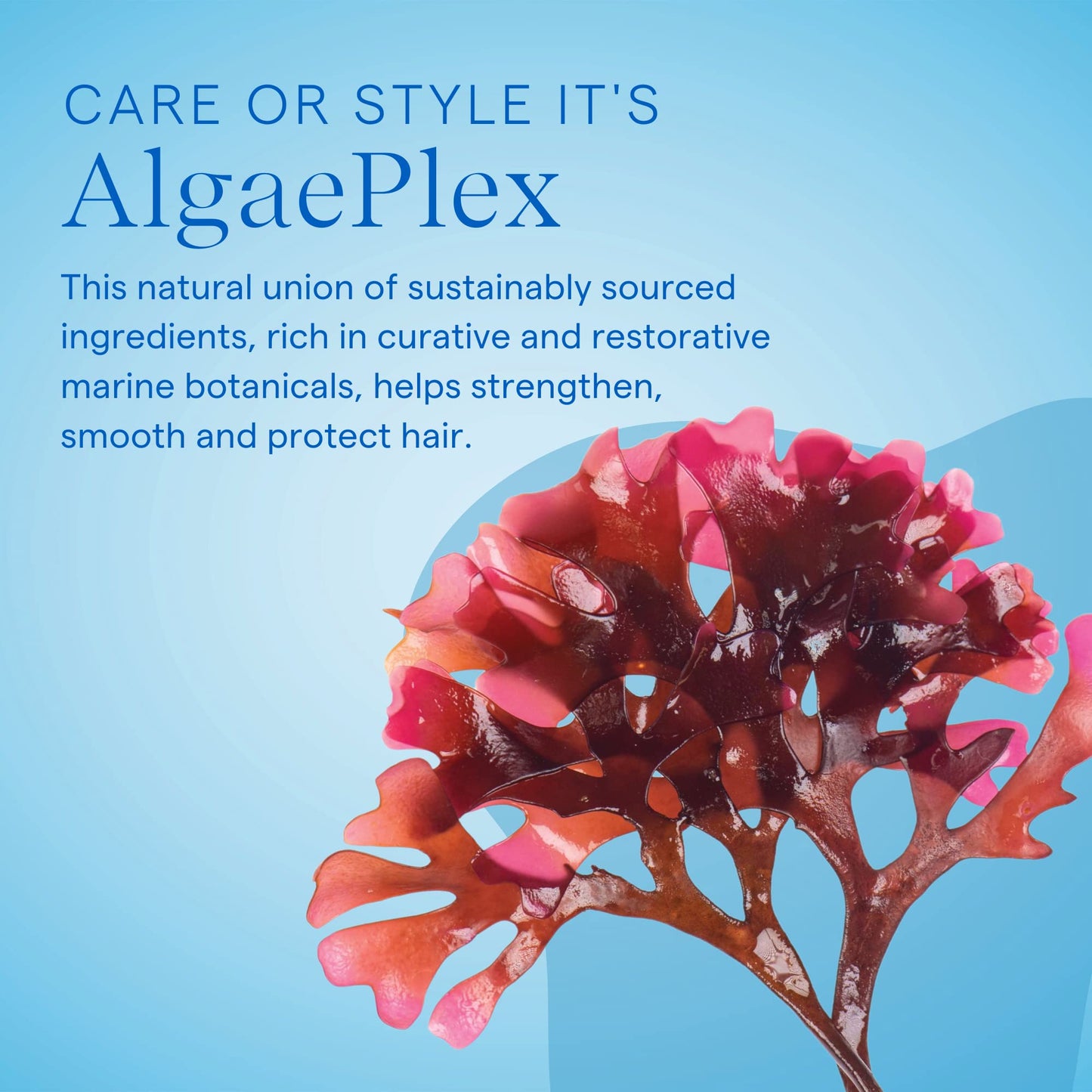 AQUAGE Weightless Detangler, Ultra-Light Conditioner, Hydrates and Restores Moisture Without Weighing Hair Down, Eliminates Tangles, 33.8 oz
