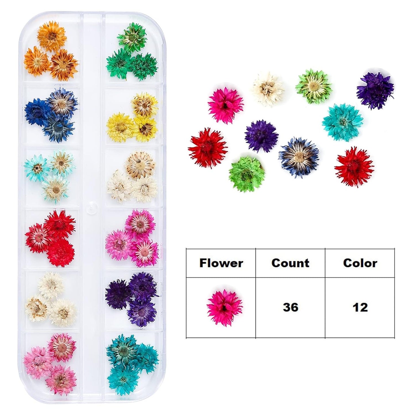 Mini Dried Flowers for Resin Craft & Nail Art - 6 Box Set (260+ Pieces)