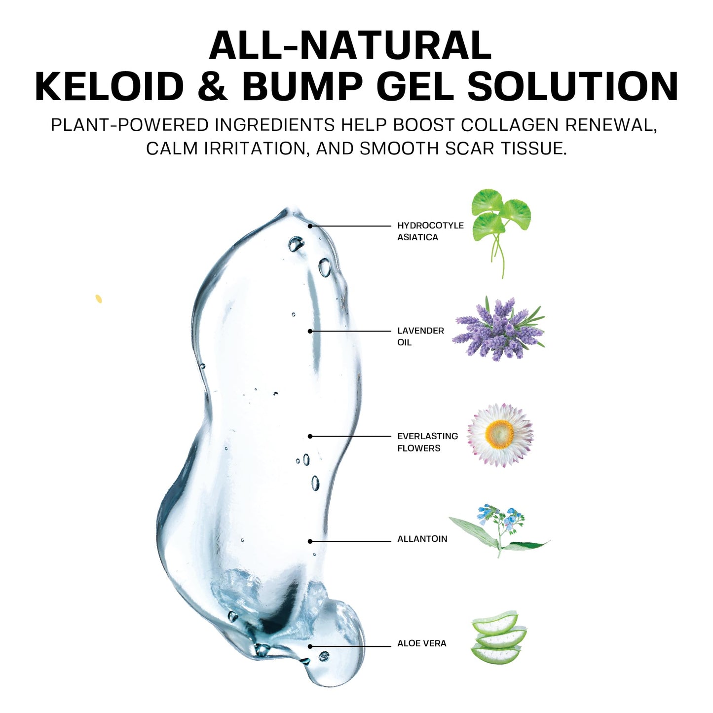 BASE LABORATORIES Keloid Bump Removal Gel | Natural Piercing Bump Treatment & Keloid Scar Gel | Keloid Scar Removal for all Scars, Keloids & Piercing Bumps | Soothing Piercing Aftercare | 2 oz