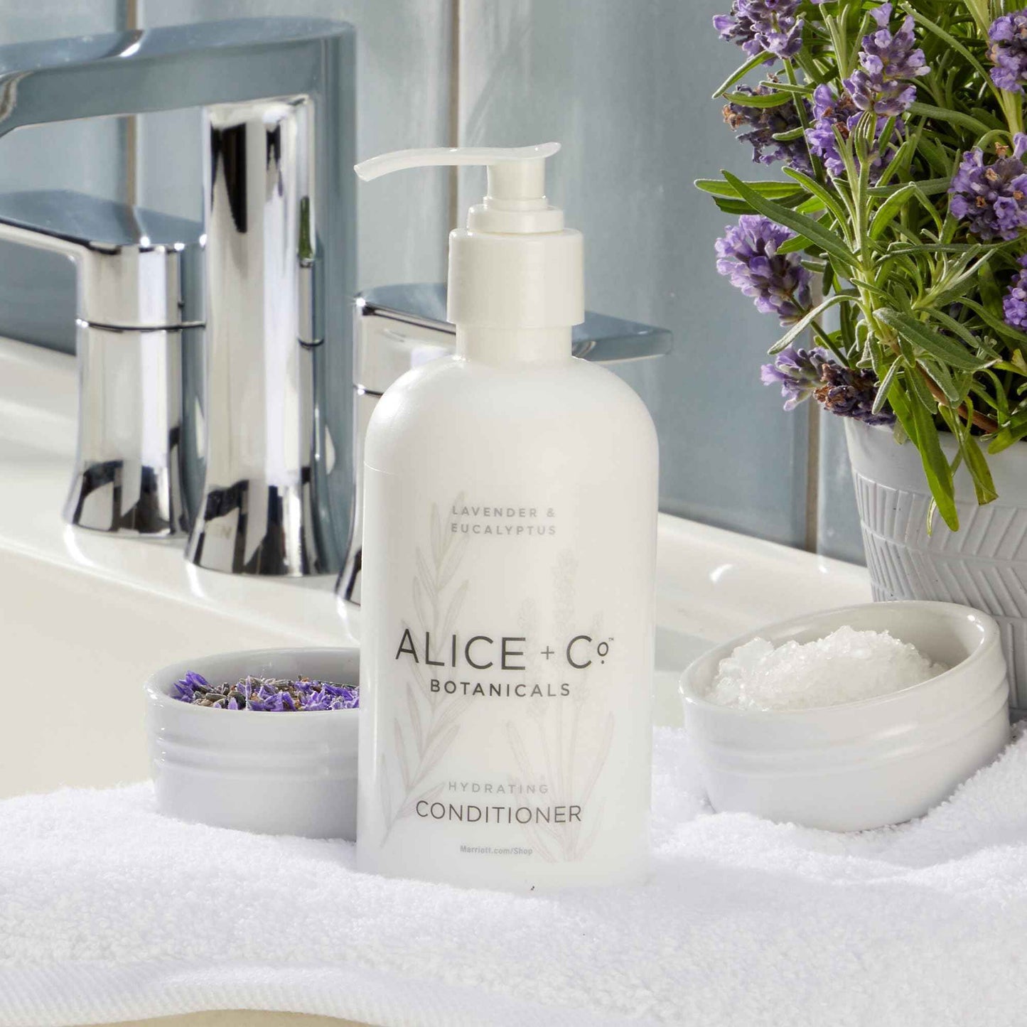 Alice + Co. Conditioner | Lavender & Eucalyptus | Hair Care | Fairfield by Marriott | Hotel Bath Amenities | 8.5 oz Conditioner