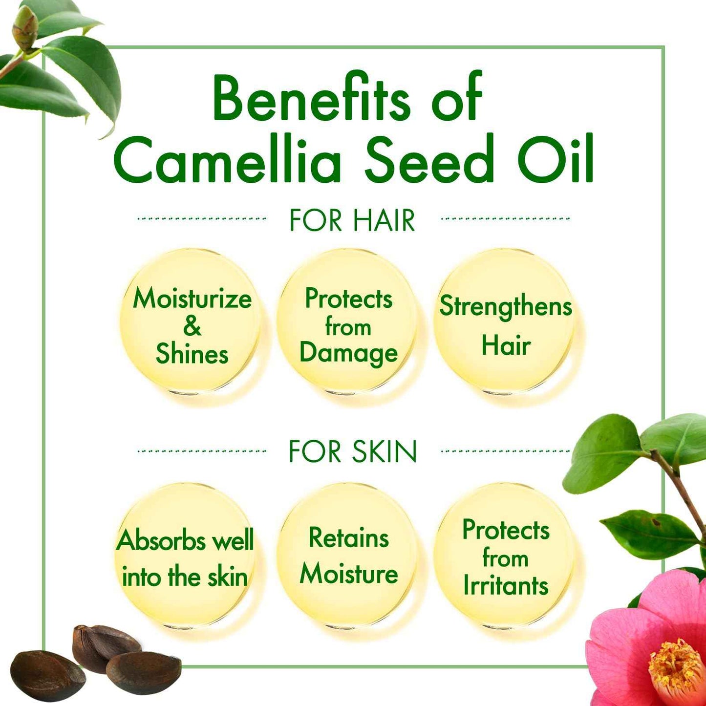 Oshima Tsubaki Camellia seed Oil - English Packaging for US - 100% Pure and Natural, Plant-Based, Single-Ingredient, Moisturizing for Hair, Face, Skin, and Nails, Japanese Beauty - 2.03 fl oz (60ml)