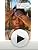 IMAGE Skincare BIOME+ Cleansing Comfort Balm 4oz - Microbiome-Friendly Gentle Cleanser