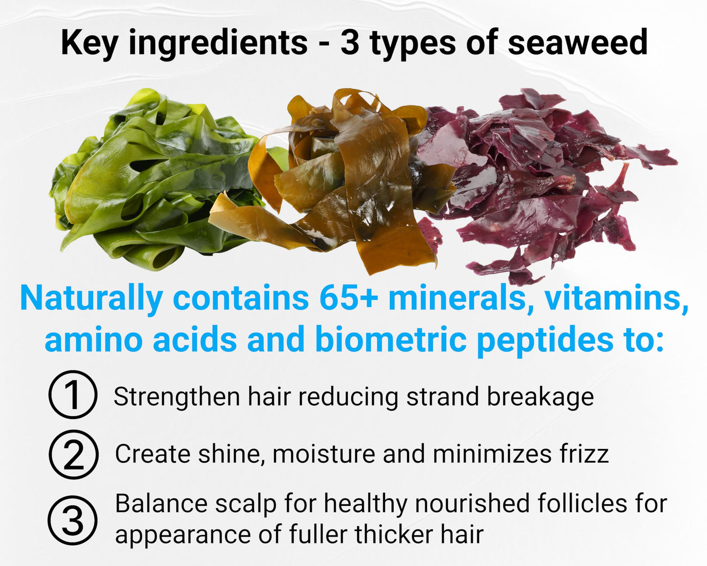 Saltie by 30A Leave-In Conditioner, 8.5 fl. Oz/250ml - Seaweed, Kelp & Algae Enriched Detangle & Shine Hair Treatment -Ideal For Frizzy and All Hair Type , Protects Scalp