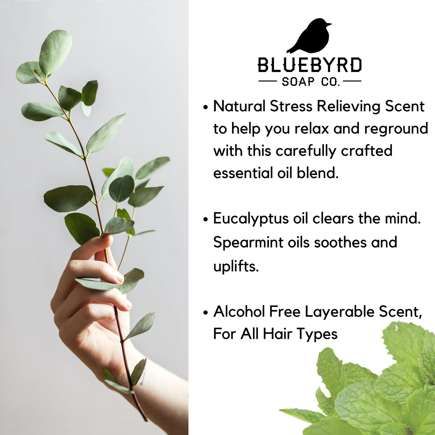 Bluebyrd Soap Co. Eucalyptus Mint Fragrance Hair Perfume and Body Mist | Weightless Relaxing Scented Hair Mist | Alcohol Free - No Parabens, Sulfates, Silicones (Mint)