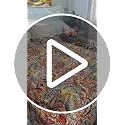 Boho King Size Cotton Quilt Set - Vibrant Paisley Coverlet with Pillow Shams, Variations of Orange, Red, Blue, Yellow, White