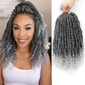 Grey Passion Twist Crochet Hair,12 Inch 9 Packs Pretwisted Passion Twist Hair, Soft Pre Looped and Pre twist Crochet Hair For Women，Short Curly Crochet Braids(12",9bundles,1B/Gray#)