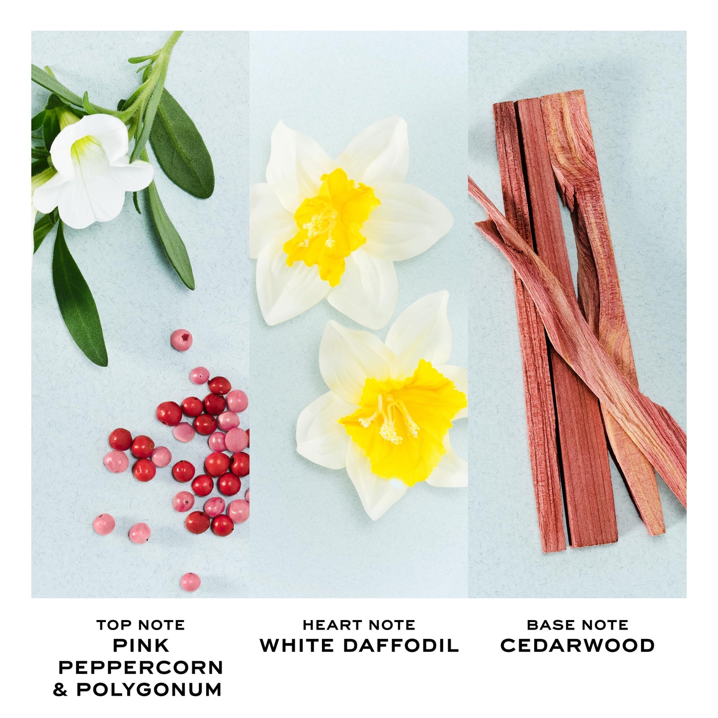 Marc Jacobs Perfect Eau de Toilette Travel Spray 0.33 fl oz