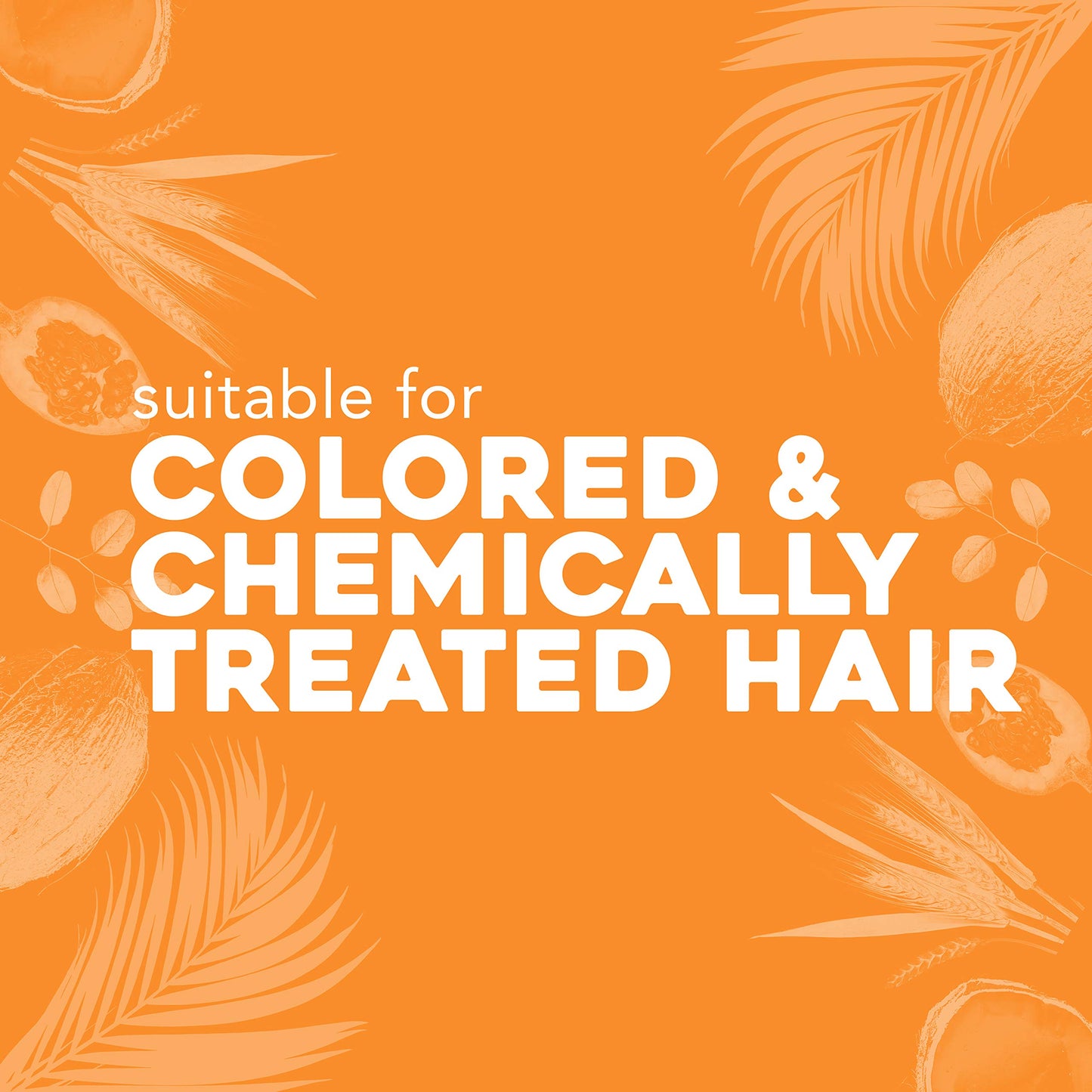 OGX Deeply Restoring + Pracaxi Recovery Oil AntiFrizz Conditioner with Murumuru Butter to Intensely Hydrate Curly Wavy Hair SulfateFree Surfactants for ColorTreated Hair, 13 Fl Oz