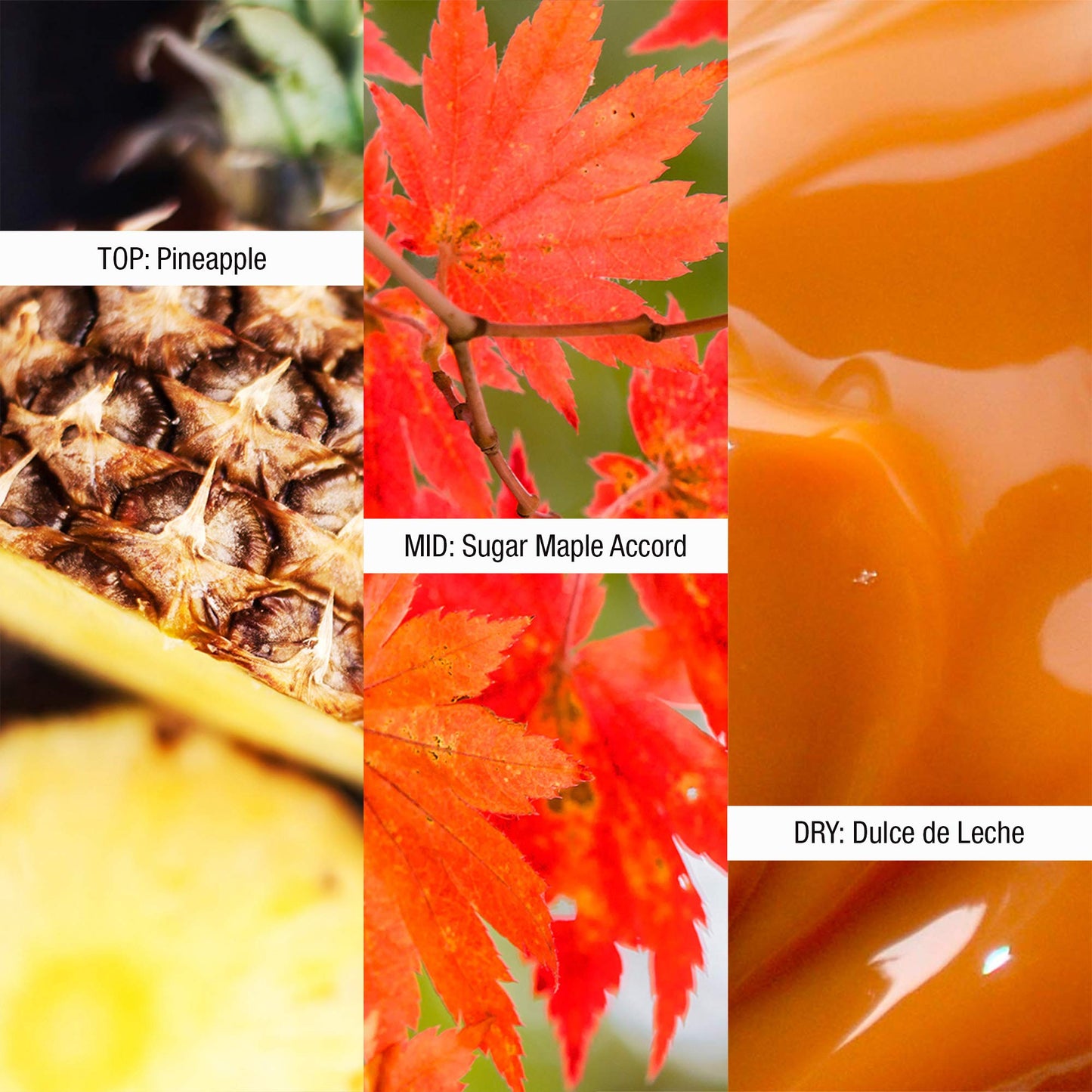 Shawn Mendes Signature EDP, 1.0-Ounce