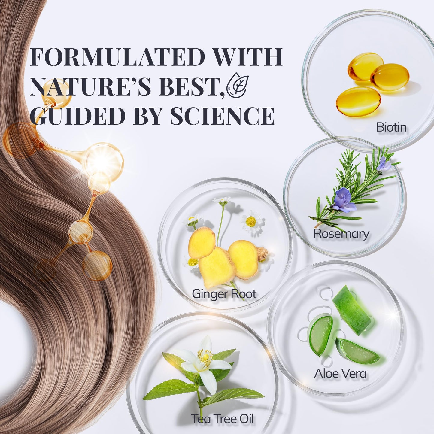 Biotin & Rosemary Shampoo for Hair Growth: Hair Loss Shampoo for Thinning Hair Infused with Natural Nutrient Rich Ingredients for Hair thickening Sulfate Free 10 fl oz