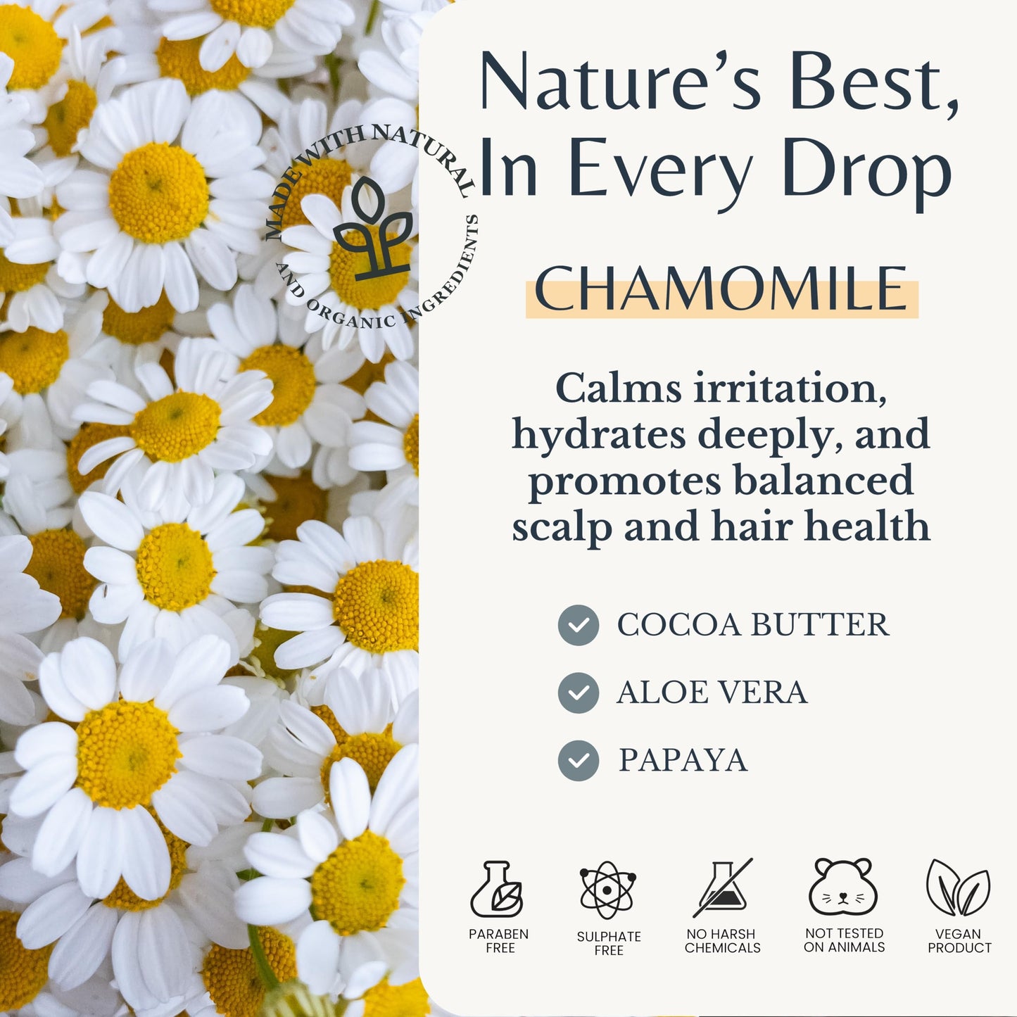 Edenika Botanicals Chamomile Shampoo and Conditioner Set, Calming Formula with Certified Organic and Natural Ingredients Intense Nourishment Makes Hair Feel Soft and Smooth 16oz Each