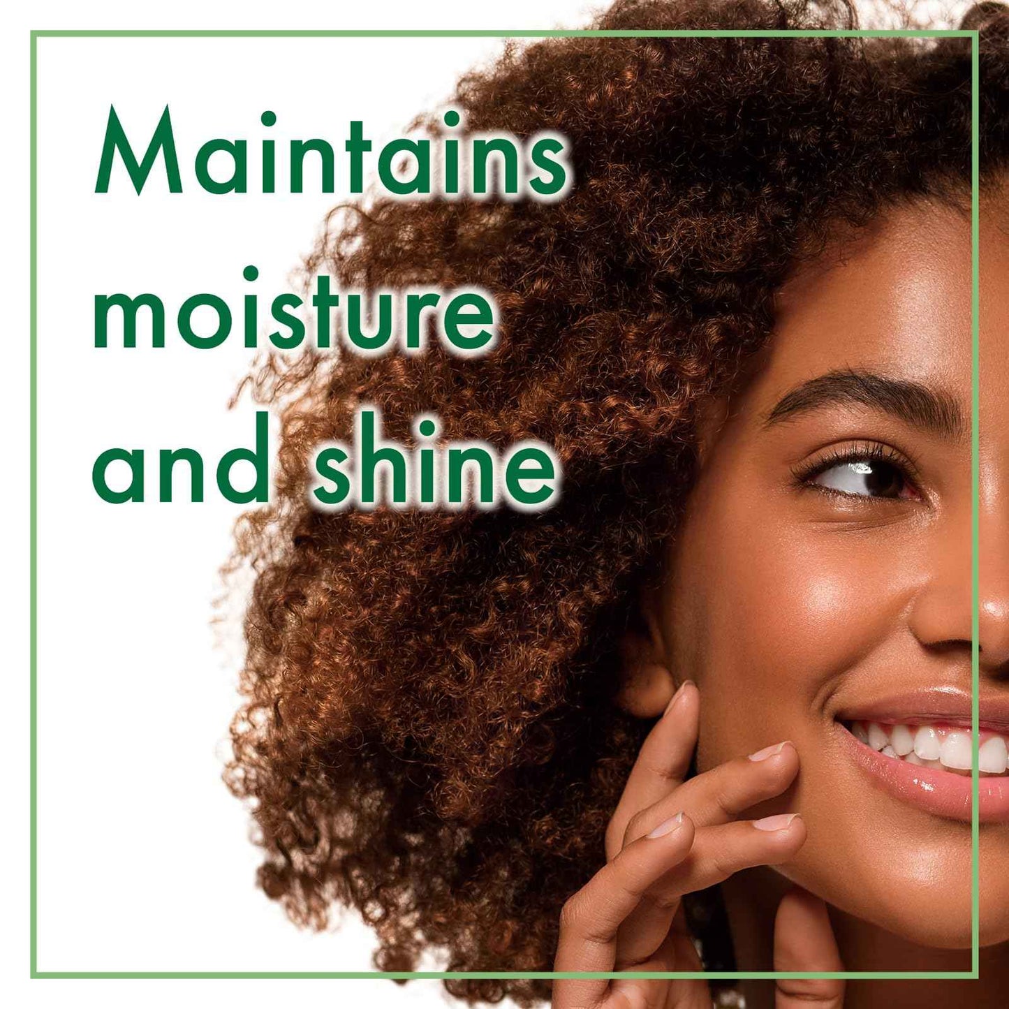 Oshima Tsubaki Camellia seed Oil - English Packaging for US - 100% Pure and Natural, Plant-Based, Single-Ingredient, Moisturizing for Hair, Face, Skin, and Nails, Japanese Beauty - 2.03 fl oz (60ml)