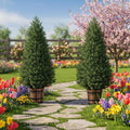 4FT Set of Artificial Cedar Topiary Trees in Barrel Planter – Outdoor/Indoor Faux Pine Shrubs
