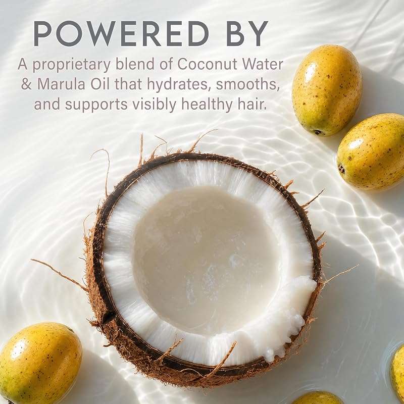 Coconut Water Moisturizing Hair Shampoo & Conditioner Set - 12 Fl Oz (Pack of 2)