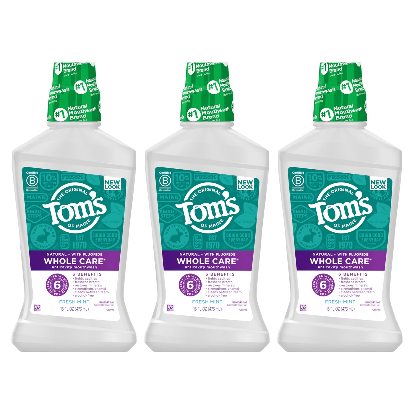 Tom's Of Maine Whole Care Natural Fluoride Mouthwash, Fresh Mint, 16 Oz (Pack of 3) (Packaging May Vary)