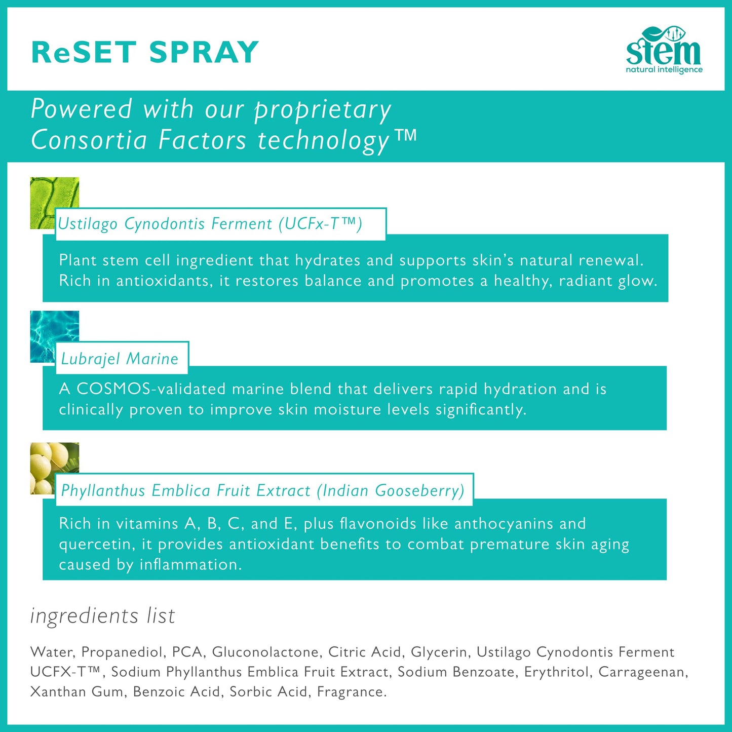 STEM Natural Intelligence ReSet Moisturizing Facial Spray, Setting Spray for Makeup, Makeup Setting Spray for Luxury Skin Care, Face Moisturizer for Women, Finishing Spray for Makeup, 1 oz