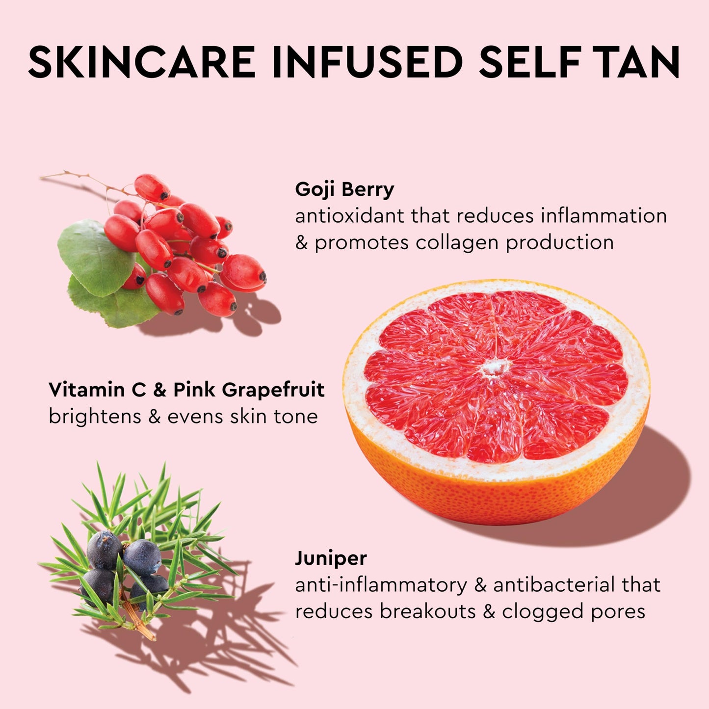 Tanologist Dark Self Tan Mousse, Clear Self-Tanning Mousse, Streak-Free, Natural Glow, No Fake Tan Smell Or Orange Tone, Long Lasting, Clean Ingredients, Vegan, 6.76 fl. oz/200 ml Bottle