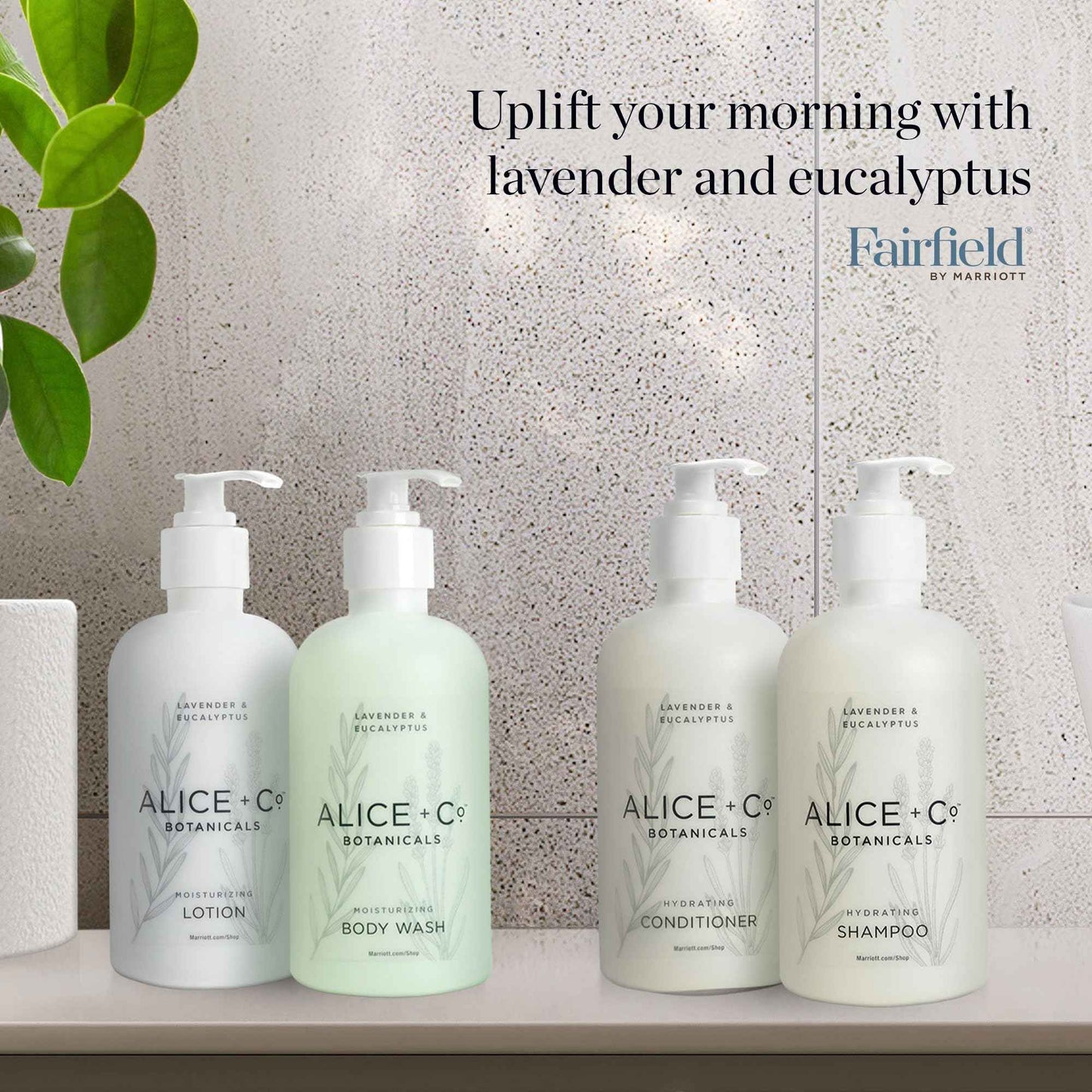 Alice + Co. Conditioner | Lavender & Eucalyptus | Hair Care | Fairfield by Marriott | Hotel Bath Amenities | 8.5 oz Conditioner