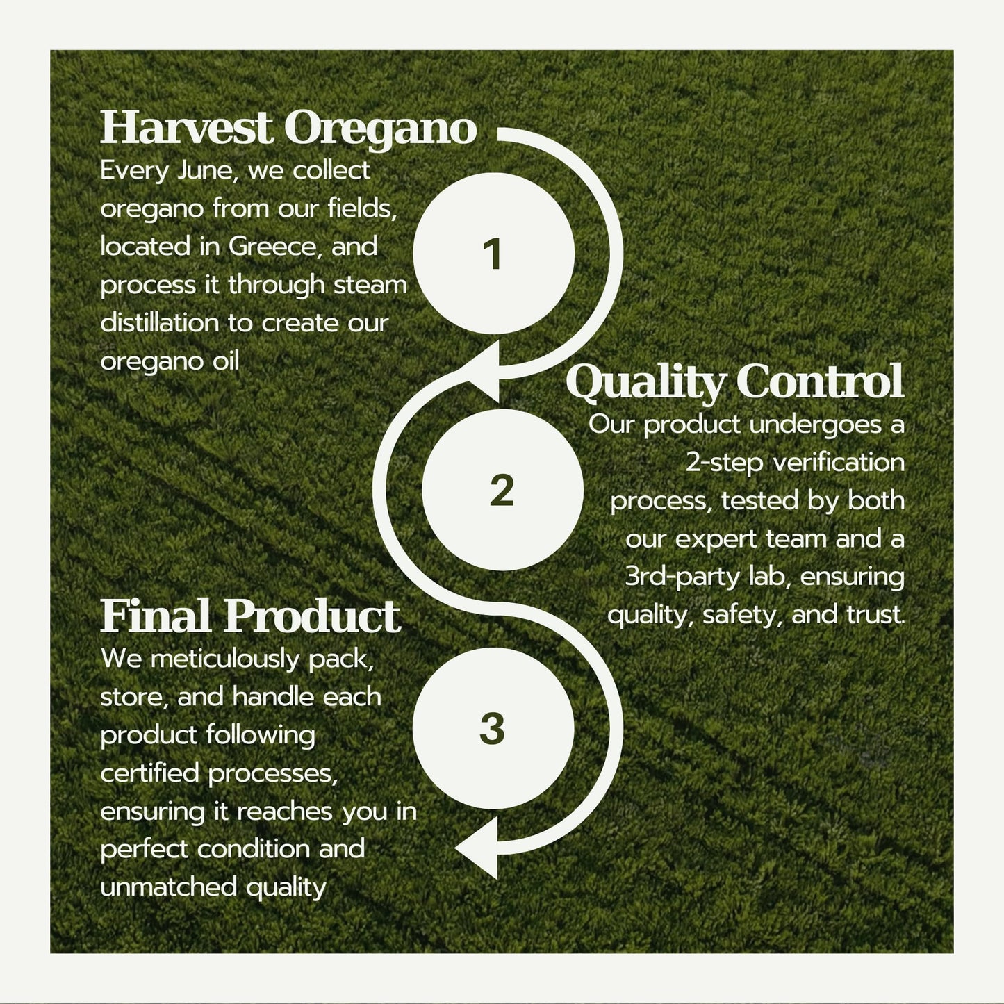 AROMAVITA Oil of Oregano Bar - Natural Plant Therapy Hand Soap & Body Wash Oregano Oil Extract Soap - Topical Skin Cleanser Soap Bar - for Acne, Eczema, Foot and Nail Problems, 2-pack