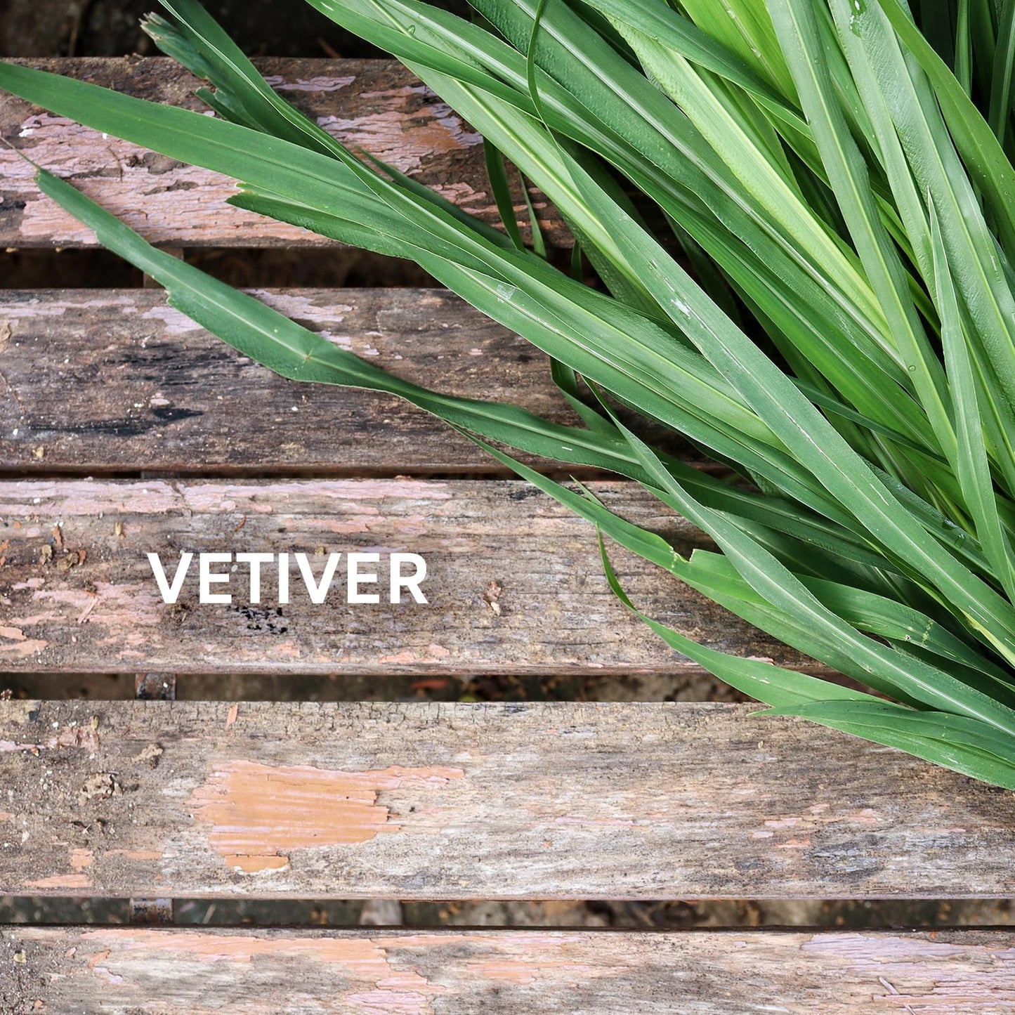 Zermat For Men, Intrepid Experience Fragrance Body Spray, 8.45 Fl. Oz.