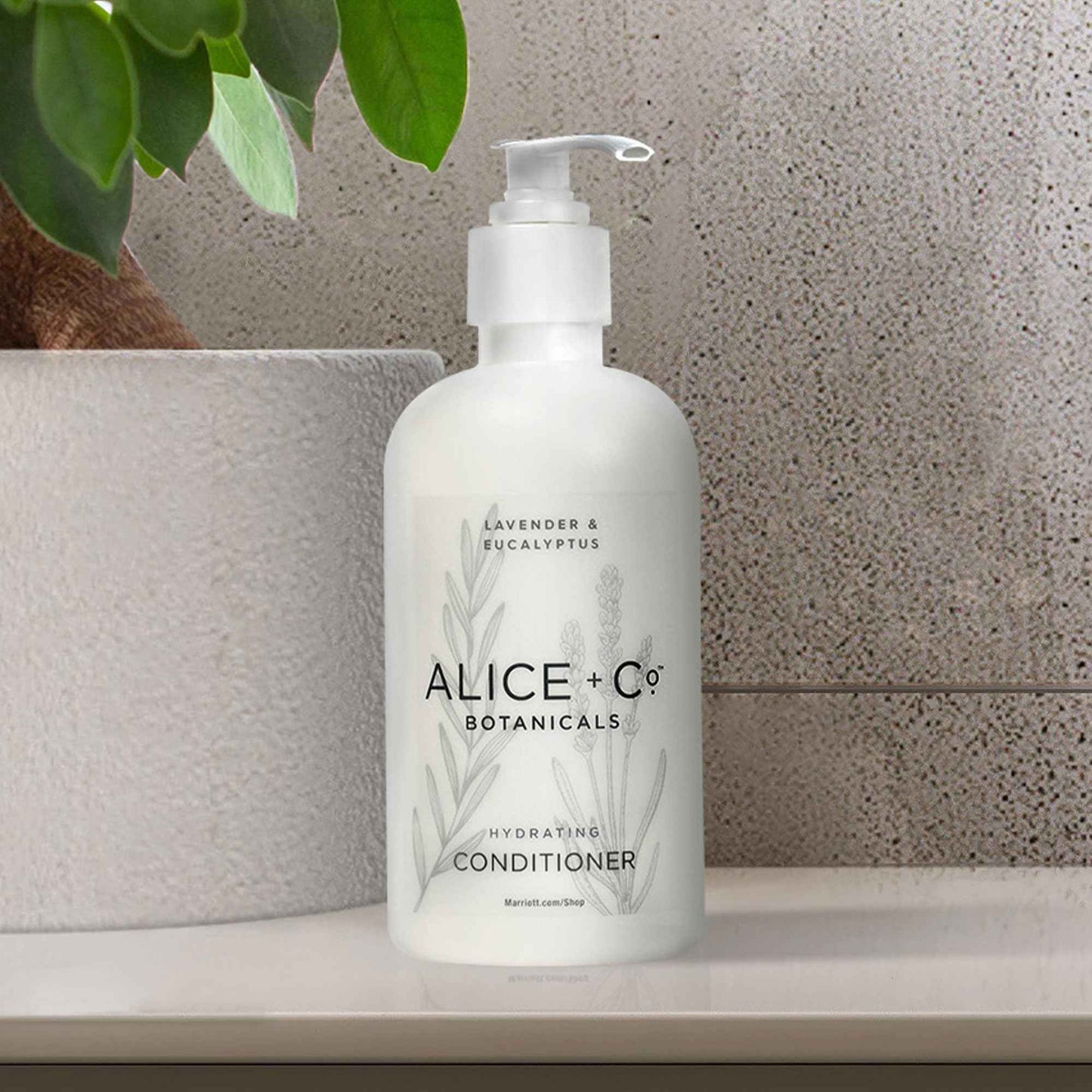 Alice + Co. Conditioner | Lavender & Eucalyptus | Hair Care | Fairfield by Marriott | Hotel Bath Amenities | 8.5 oz Conditioner