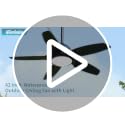 Fanbulous 42 Inch Black Waterproof Outdoor Ceiling Fan with Light (IP65) for Patio