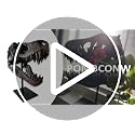 Large T Rex Skull Dinosaur Resin Statue - Fossil Replica Skeleton Decor