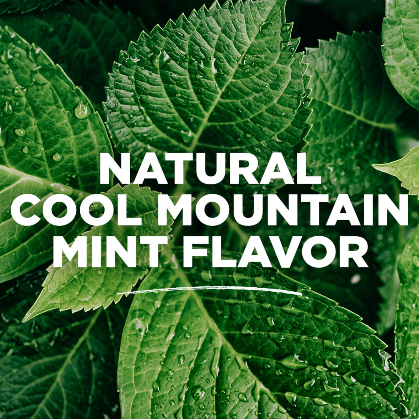 Tom's of Maine Natural Wicked Fresh Alcohol-Free Mouthwash, Cool Mountain Mint, 16 oz. 6-Pack (Packaging May Vary)