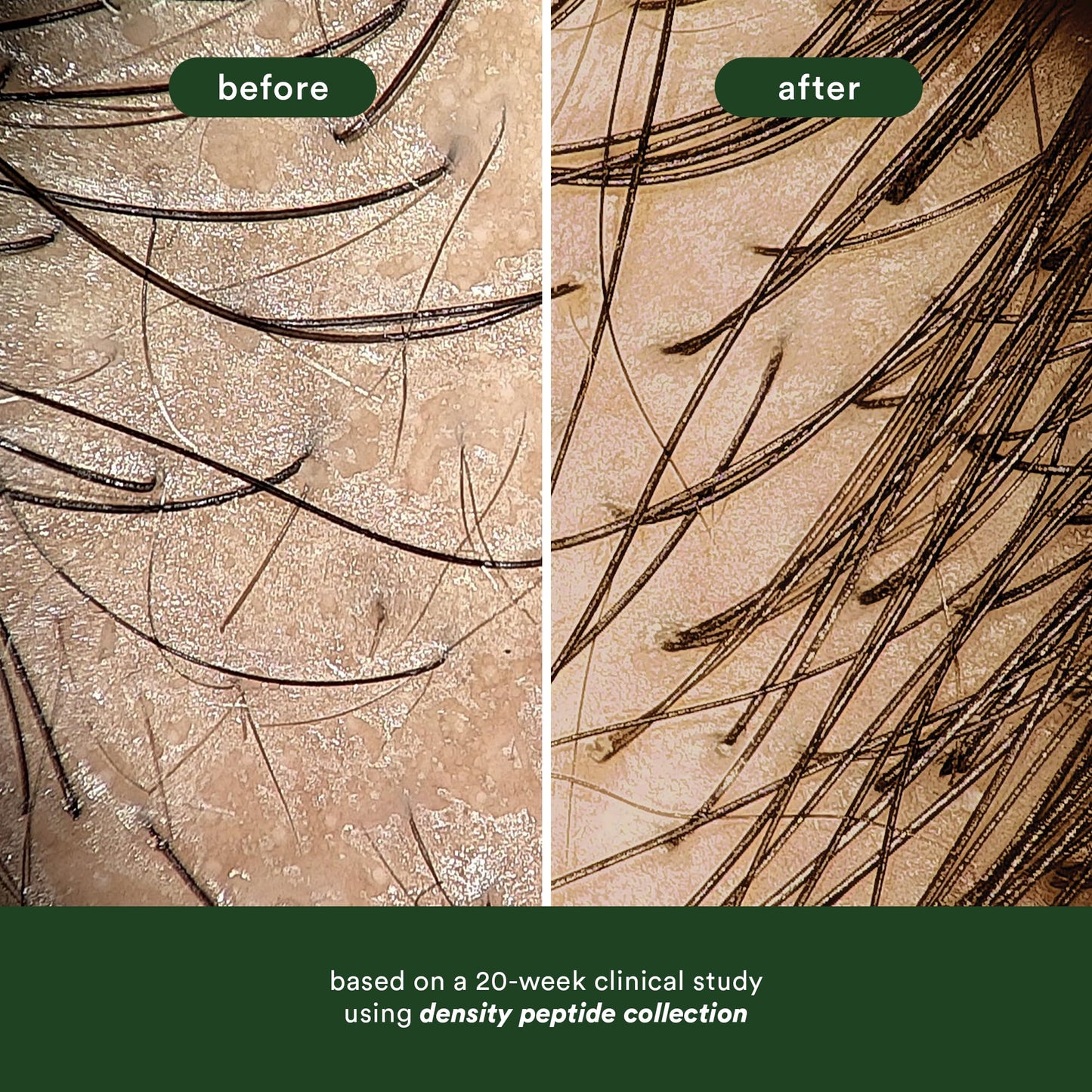 VERB Density Peptide Serum, 1 fl oz - Visibly Thicken + Reduce Signs of Shedding- No Parabens or Harmful Sulfates