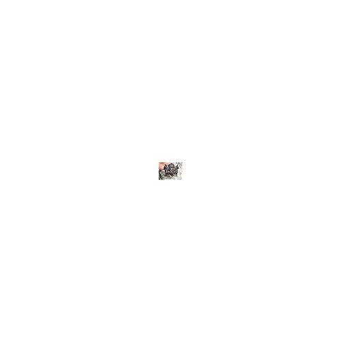 Handicraftviet Hand-Carved Wooden Comb, Wooden Viking Comb for Men's Hair, Beard, and Mustache, Great Gift - Natural Wood