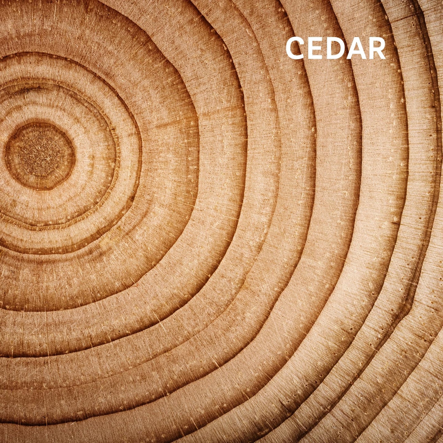 Zermat For Men, Intrepid Experience Fragrance Body Spray, 8.45 Fl. Oz.