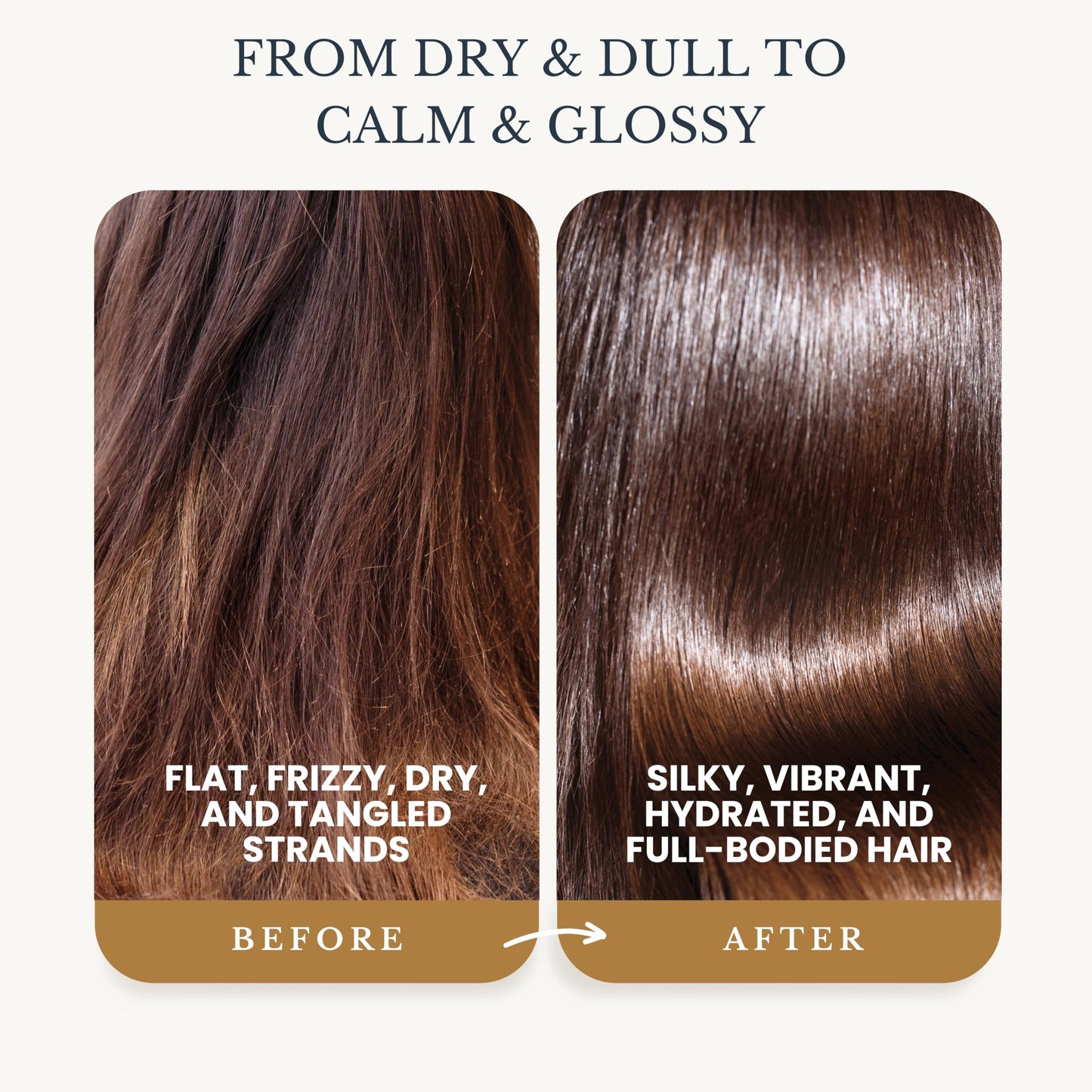 Edenika Botanicals Chamomile Shampoo and Conditioner Set, Calming Formula with Certified Organic and Natural Ingredients Intense Nourishment Makes Hair Feel Soft and Smooth 16oz Each