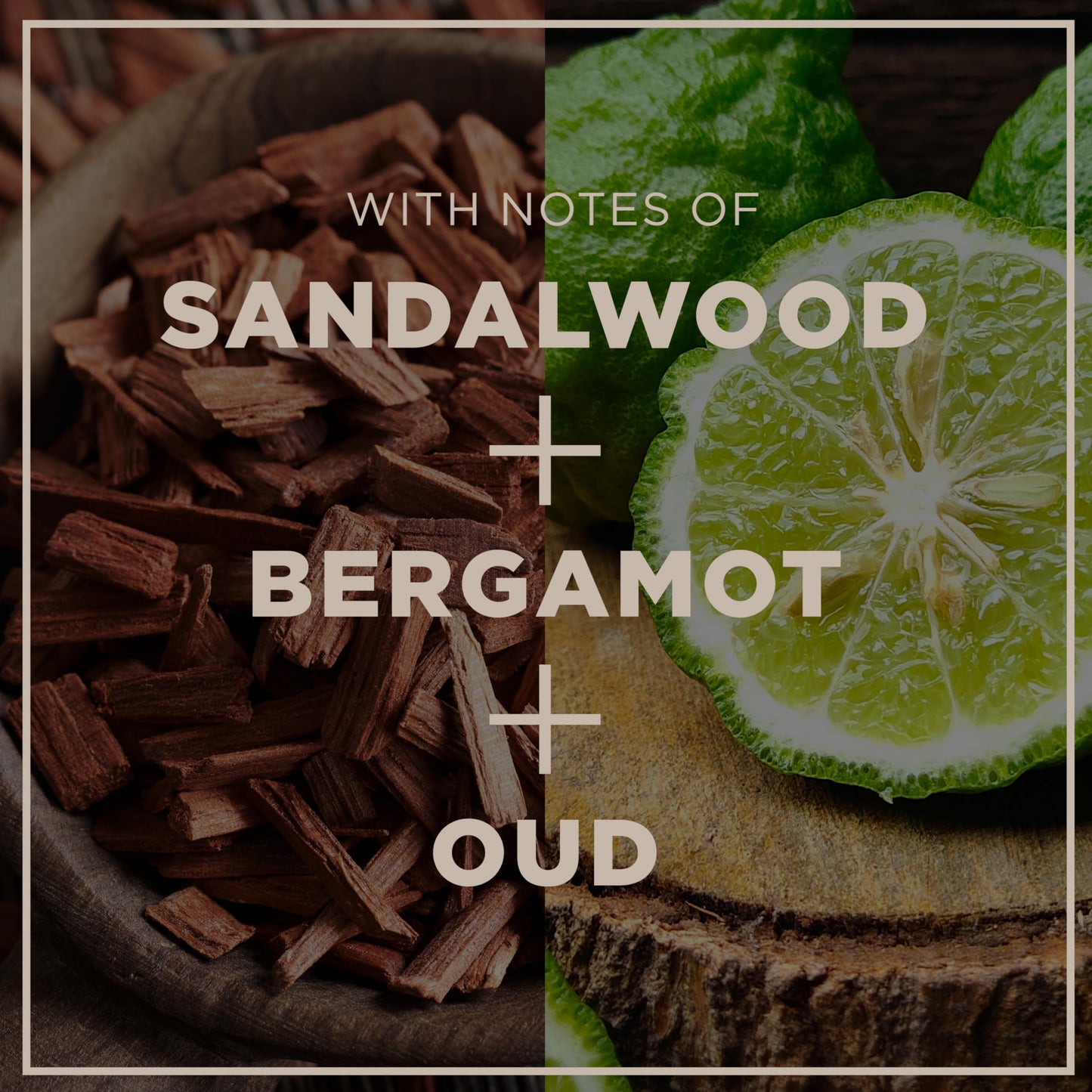 CHI Pour Homme 3-in-1 Cleansing & Moisturizing Hair, Face & Body Wash, Made With Aloe Vera & Nettle, Fresh, Woody Scent, Sulfate-Free, 11.5 oz