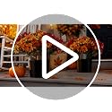 Artificial Fall Pom Pom Mums Flower Set in 15-Inch Vases - Fall Colors / Mums