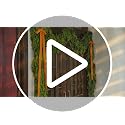 18ft Artificial Cedar Garland - Realistic Holiday Christmas Decor