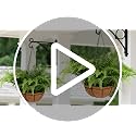 Green 2 Pack Fake Hanging Ferns with Baskets - UV Resistant Outdoor Plants, No Assembly, Realistic Decor for Porch & Garden