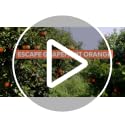 Spa Bath Crystals - Grapefruit Orange Aromatherapy & Anti-Inflammatory Benefits